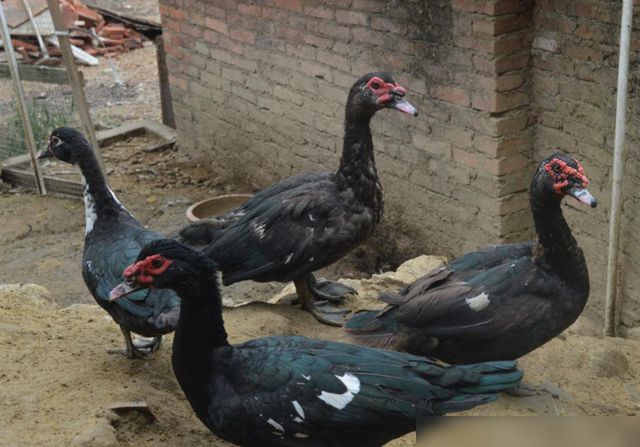 高鐵帶酒可以放行李箱嗎_高鐵帶酒能不能過安檢_酒可以帶上高鐵嗎