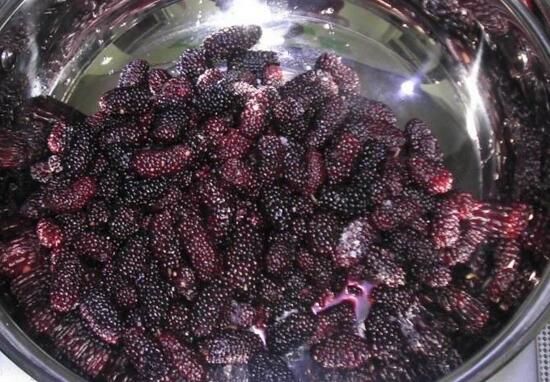 桑葚酒的制作方法_桑葚制作酒方法和配方_桑葚酒制作方法視頻