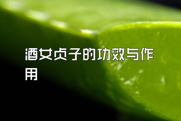 酒女貞子的功效與作用