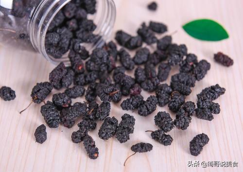 桑椹酒泡制方法和配方_桑椹酒怎么泡制方法_桑椹酒泡制方法有毒