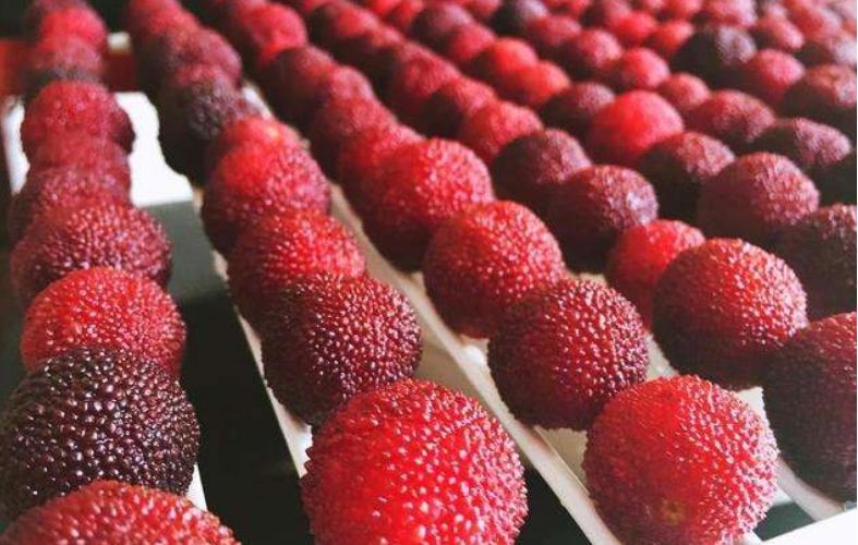 泡酒楊梅做法視頻_楊梅泡酒的做法_泡酒楊梅做法大全