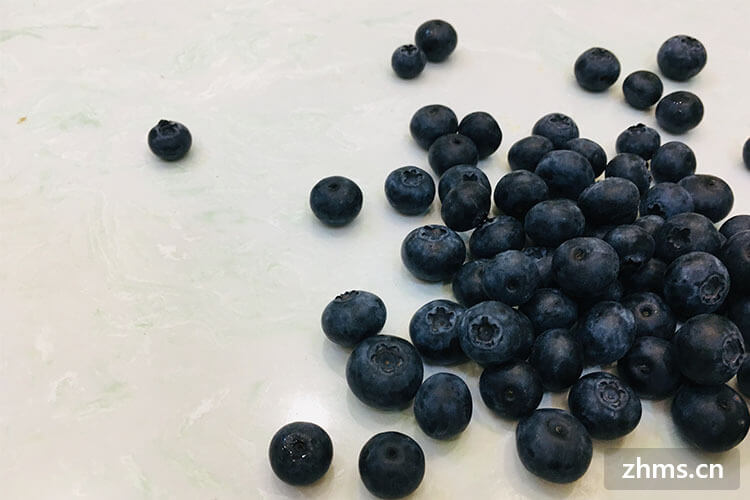 不怒知道的藍(lán)莓酒制作方法