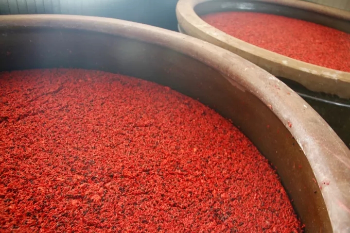 酒曲是什么東西做出來的_酒曲是什么味道_酒曲是什么東西