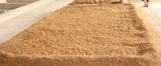 酒曲是什么東西_酒曲是什么味道_酒曲是什么東西做出來的