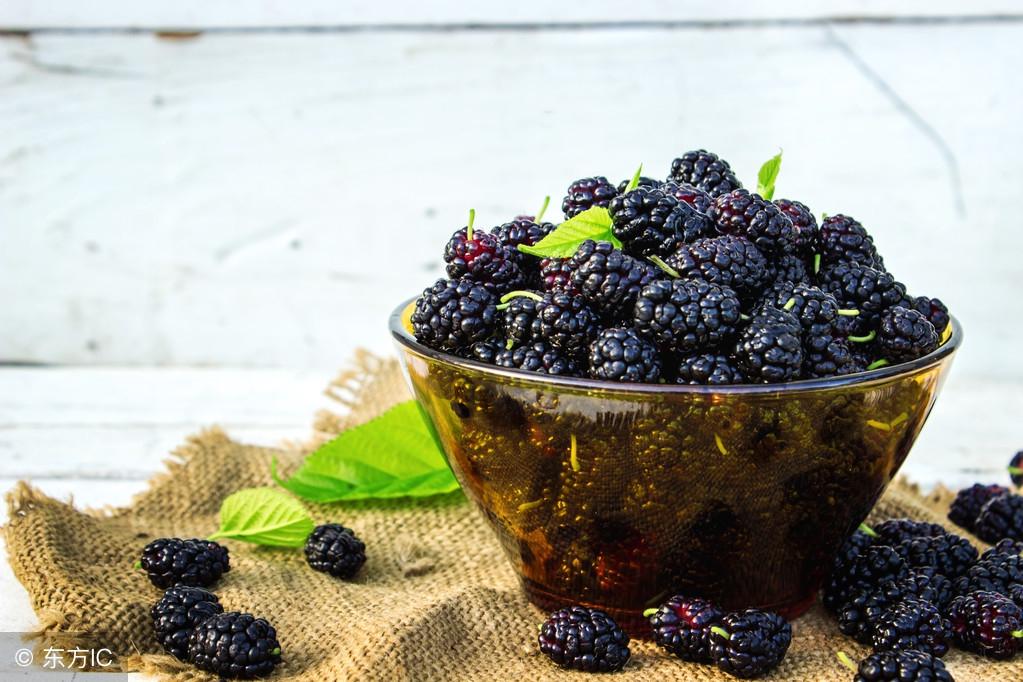 悄悄告訴你，桑葚酒泡足這個天數就可以喝了