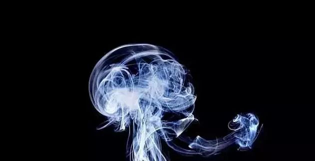 堿性酒_酒是酸性還是堿性_堿性酒和酸性酒