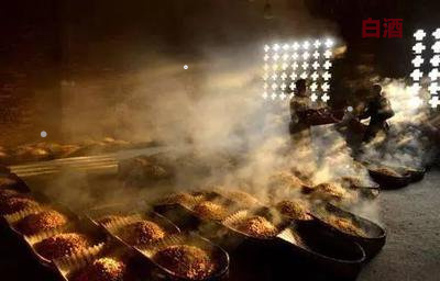 回收老酒有什么作用_哪里有回收老酒_回收老酒有什么貓膩么