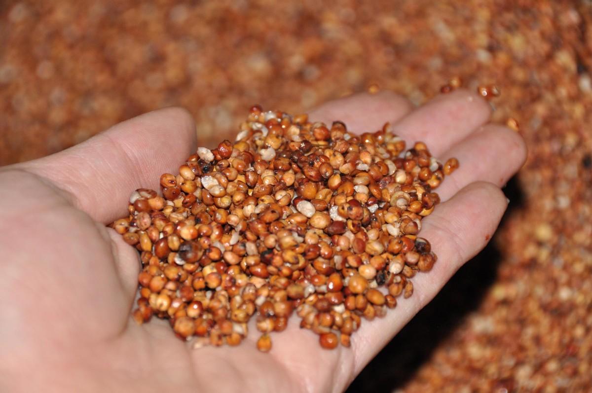 白酒10781.2是純糧酒嗎_白酒純糧食酒標(biāo)準(zhǔn)_純糧食酒10781.1