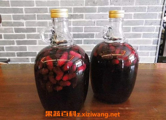 桑果泡酒喝的功效作用 喝桑果泡酒的好處