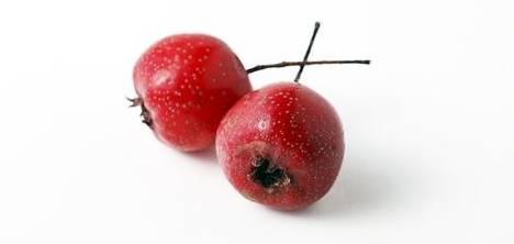 自釀藍莓酒的功效與作用_做法酒自釀藍莓好吃嗎_藍莓酒的做法 自釀