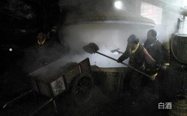 苦蕎酒營(yíng)養(yǎng)價(jià)值_功效苦蕎作用酒有哪些_苦蕎酒的功效與作用