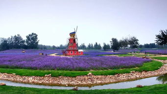 河北十大名酒_河北名酒白酒_河北名酒有哪些品牌