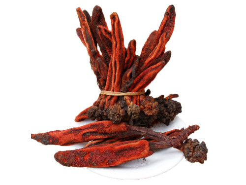 泡酒的草_泡酒草藥有哪些圖片_回春草泡酒的功效