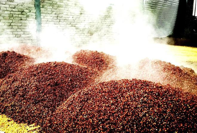 何為糧食酒_五元一斤的酒是不是糧食酒_糧食酒的定義